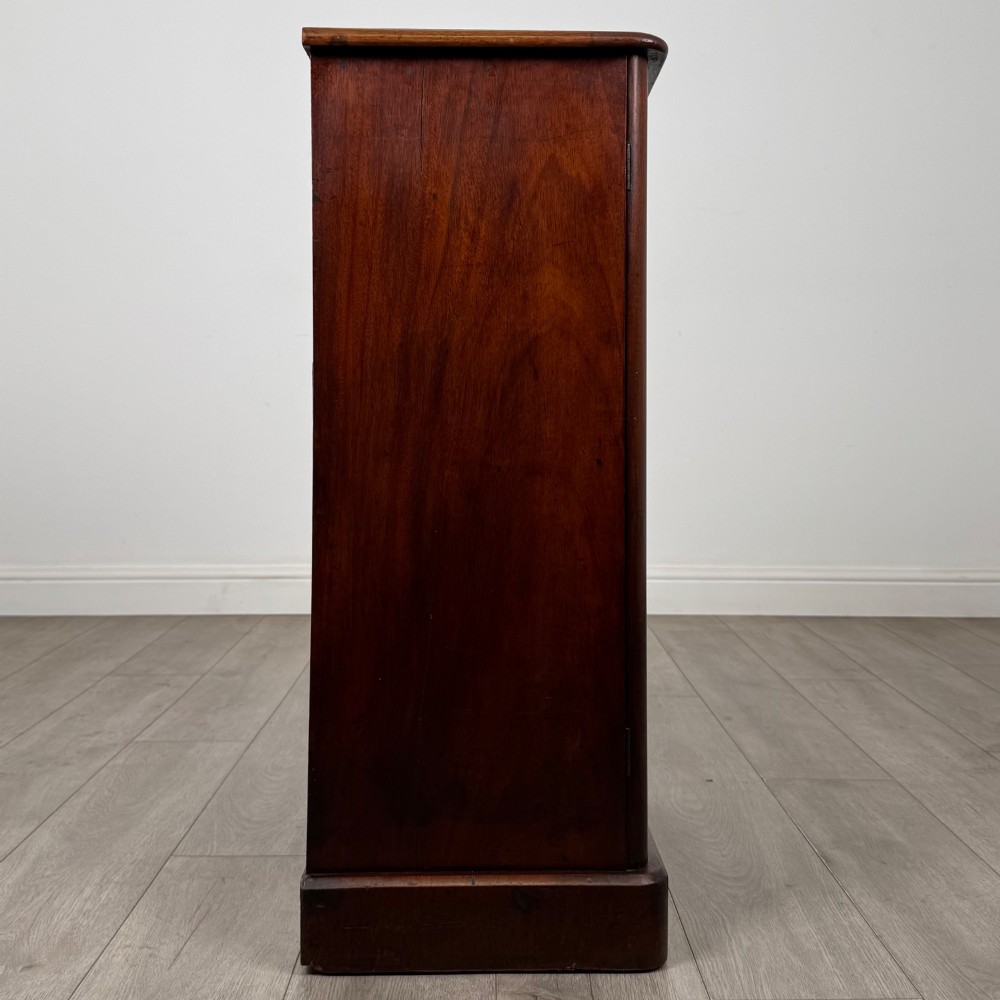 A nineteenth-century mahogany display cabinet featuring twin glazed doors with arched framing and a plinth base. View VIII