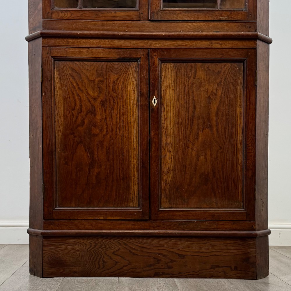 An eighteenth century Georgian dark oak standing corner cabinet featuring upper geometric astragal glazed doors and lower panelled cupboard doors. View V
