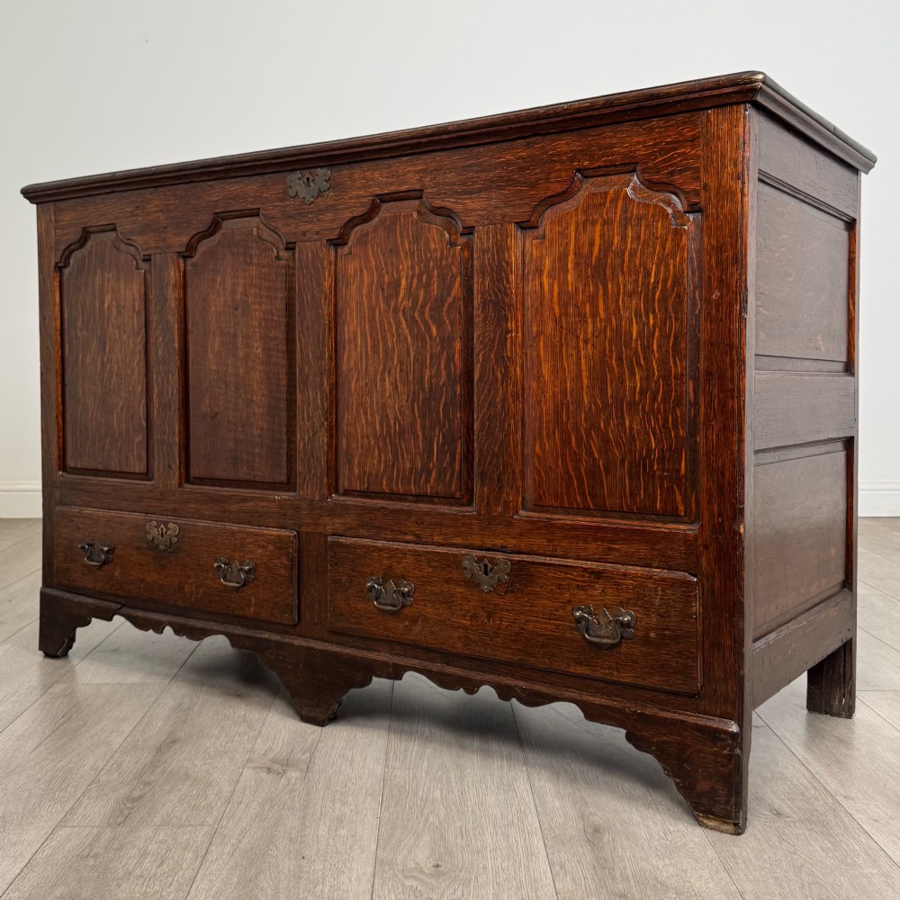 An 18th-century Georgian oak mule chest featuring four arched fielded panels, two base drawers with brass hardware, and a shaped apron. View II