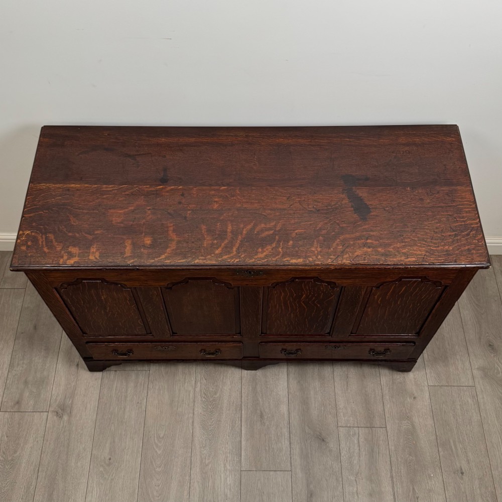 An 18th-century Georgian oak mule chest featuring four arched fielded panels, two base drawers with brass hardware, and a shaped apron. View IX
