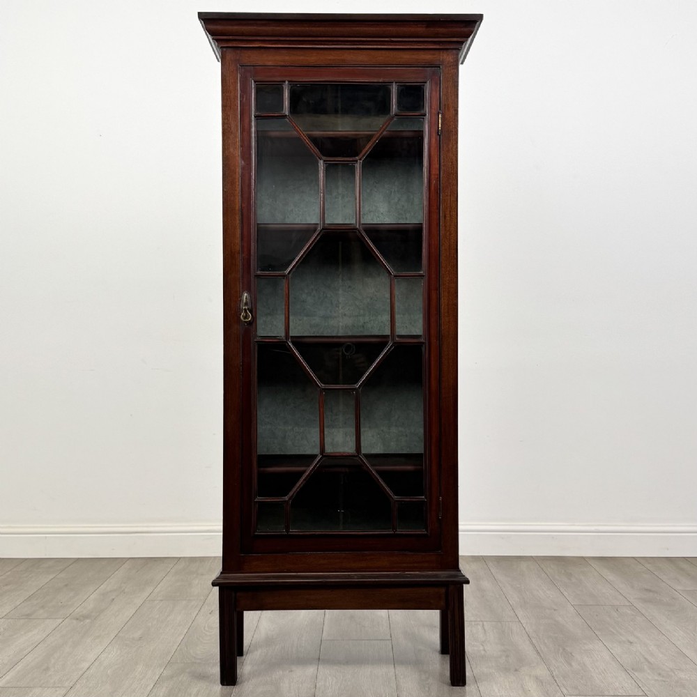A tall, narrow Georgian mahogany display cabinet featuring a single geometric astragal glazed door and internal fabric-lined shelves.