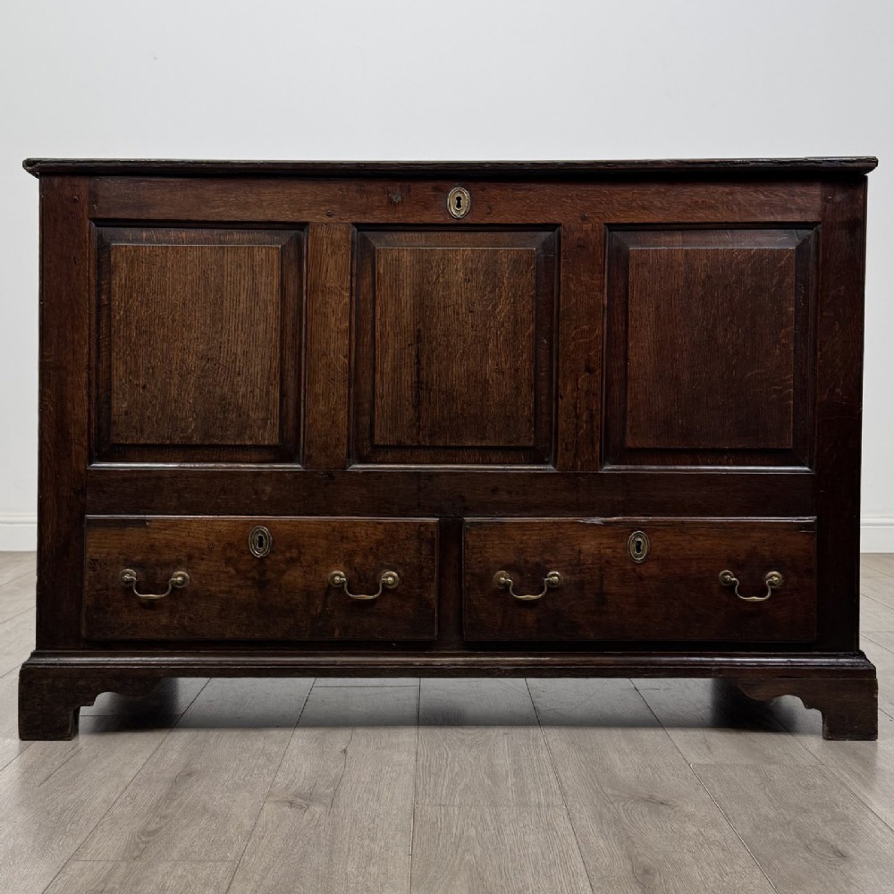 An eighteenth-century dark oak mule chest featuring three raised panels on the front enclosure above two drawers with brass handles, raised on bracket feet.