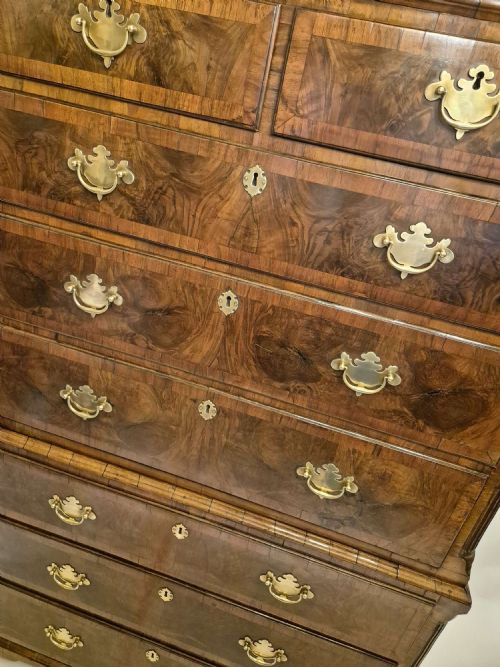 QUEEN ANNE BURR WALNUT TALLBOY - ADDITIONAL PHOTO 3