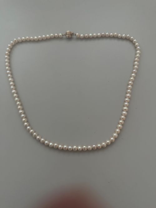 fig 1. A single strand vintage cultured pearl necklace featuring uniform cream pearls and a gold shell-shaped clasp.