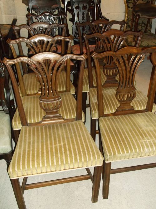 Set of 6 19th Century Mahogany Chairs