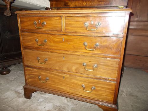Small 19th Century Mahogany Chest of Drawers