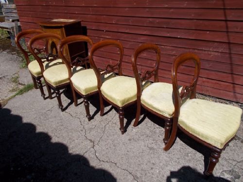 Set of 6 Victorian Mahogany Balloon Back Dining Chairs