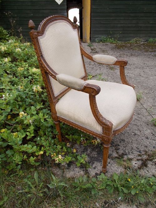 19th Century Carved Armchair