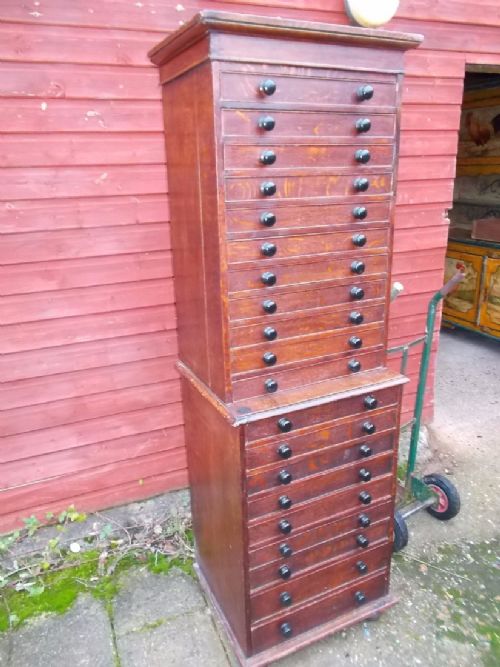 19th Century Oak Specimen Chest of Drawers