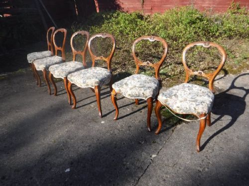 Set of 6 19th Century Walnut Balloon Back Dining Chairs