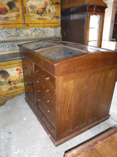 Early 20th Century Mahogany 24 Drawer Display Cabinet