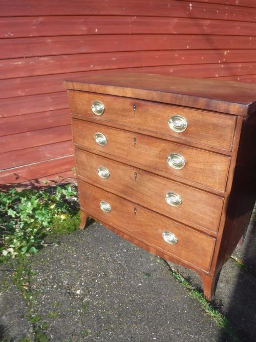 Small Early 19th Century Mahogany Chest of 4l Drawers