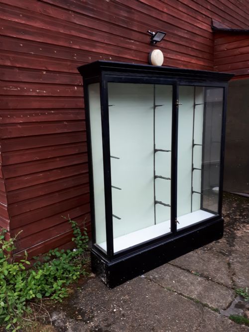 Large Ebonised Shop Cabinet with Adjustable Shelves
