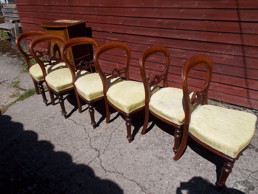 Set of 6 Victorian mahogany balloon back dining chairs