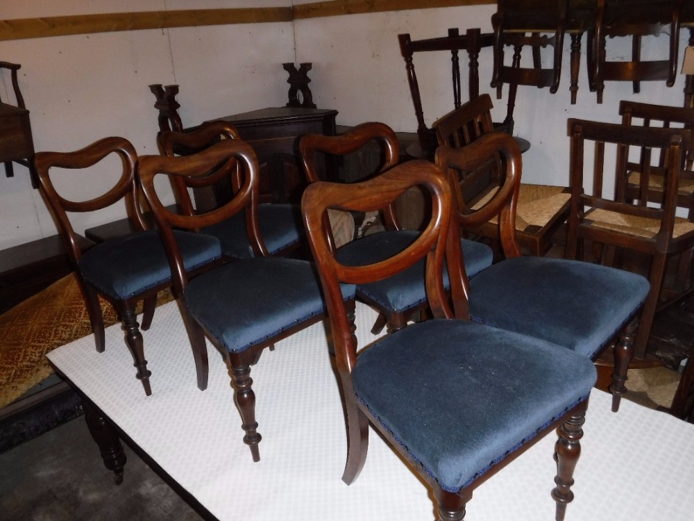 Good set of 6 early Victorian mahogany dining chairs