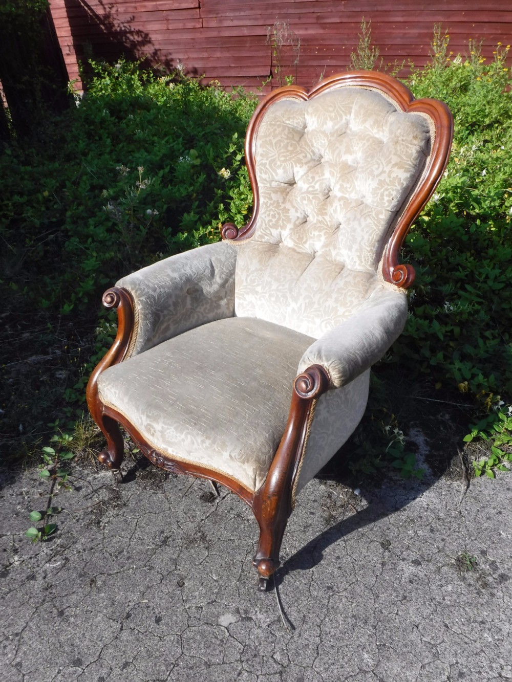 Victorian mahogany spoon back armchair