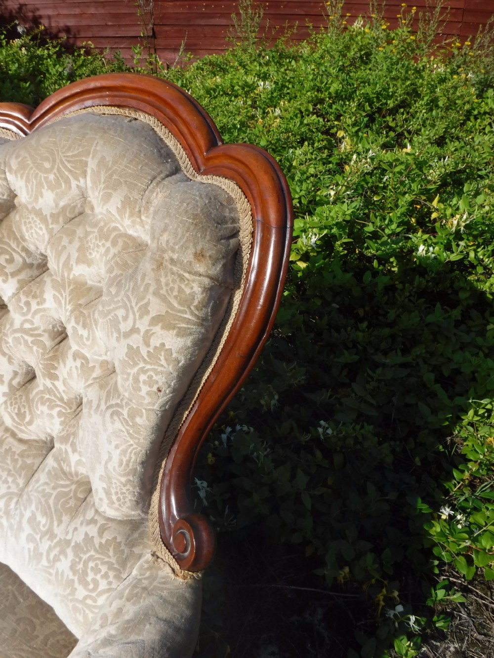 Victorian mahogany spoon back armchair View III