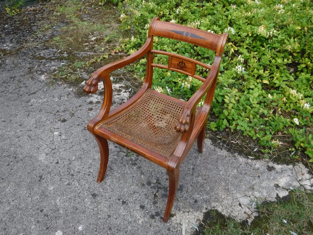 Solid satinwood armchair with carved LIon feet arms
