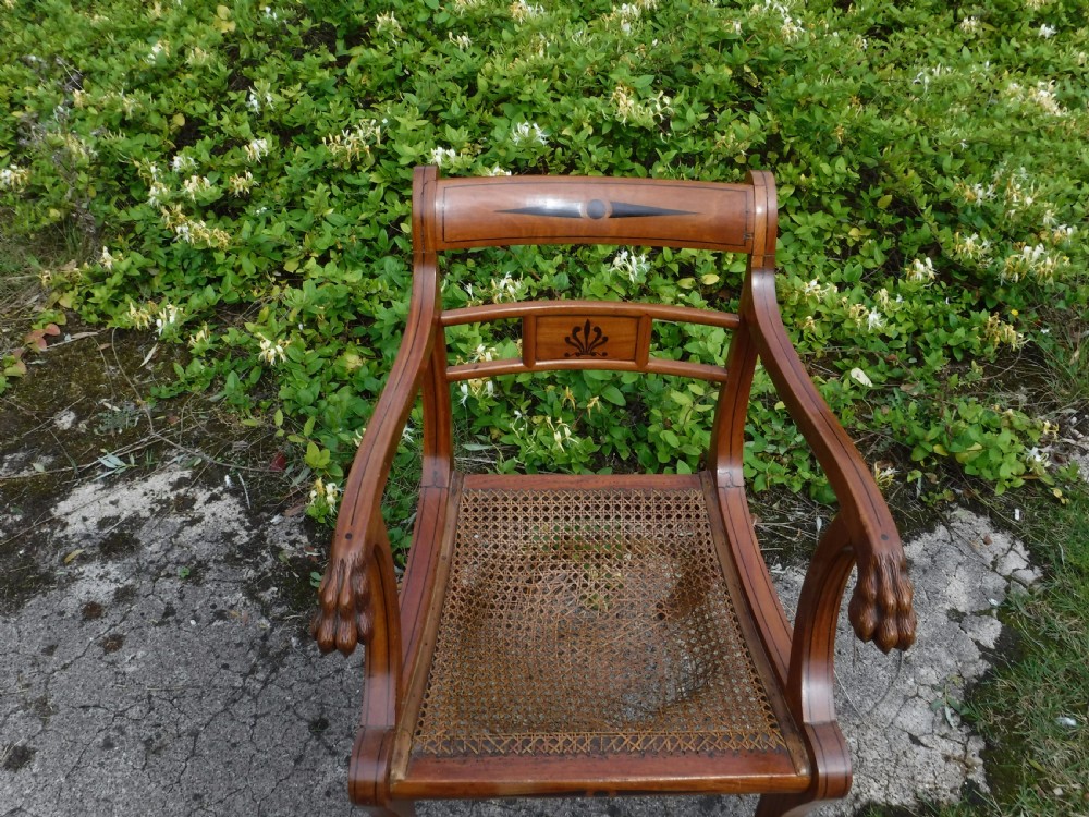 Solid satinwood armchair with carved LIon feet arms View III