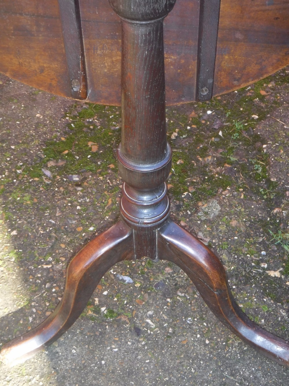 Georgian oak and walnut tip-top tripod occasional table View III