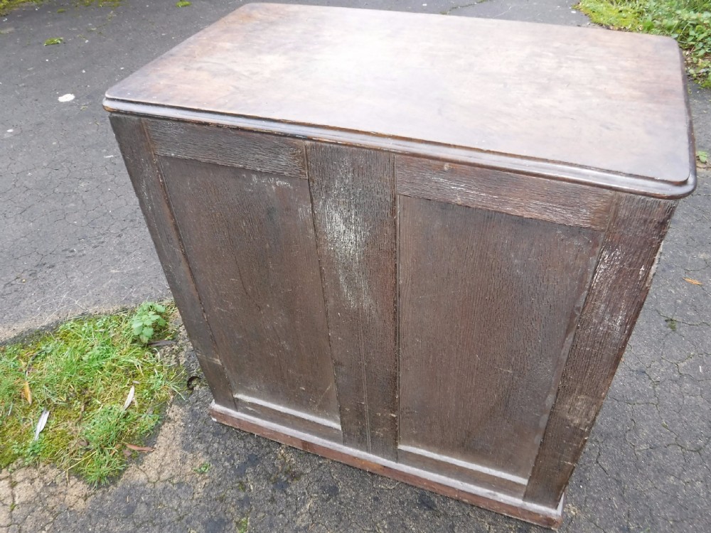 Useful early Victorian country house oak  2 door  cupboard View IV