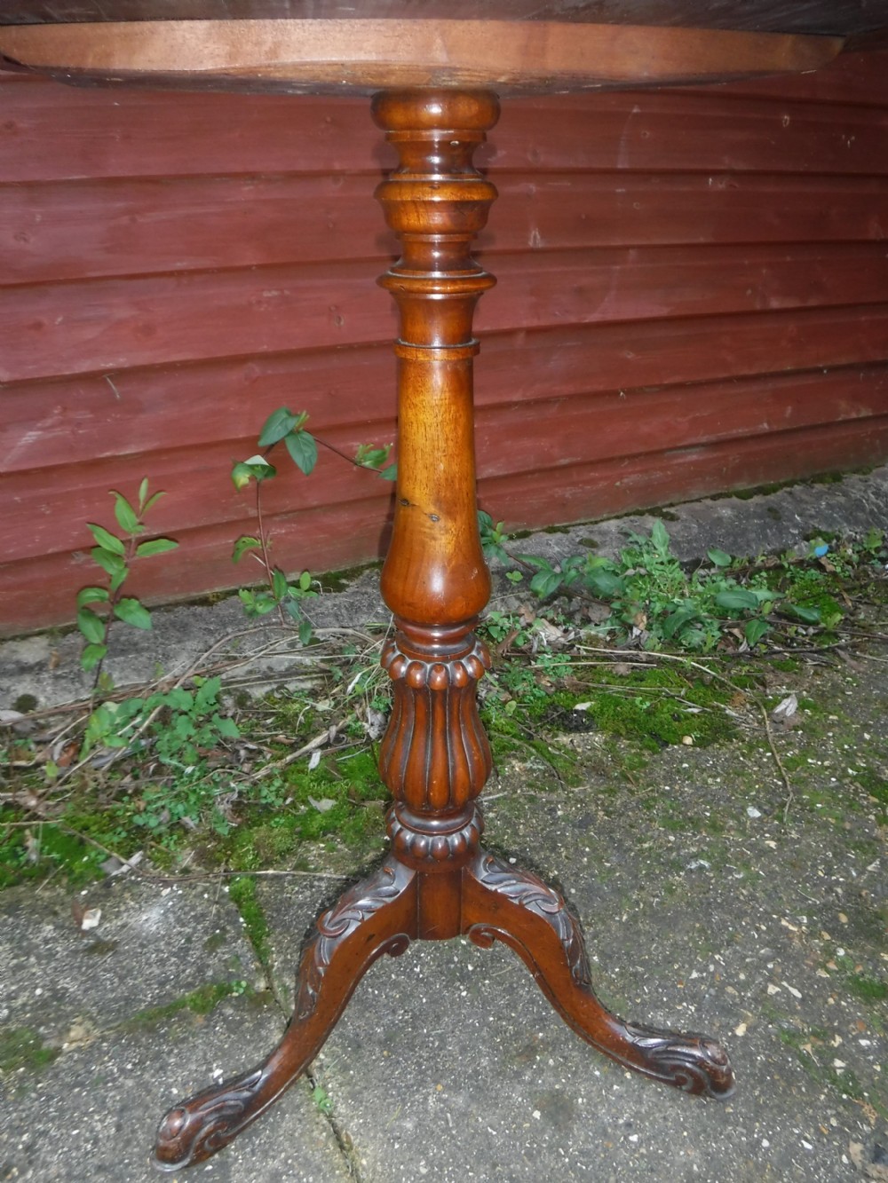 Victorian walnut tripod occasional table View II