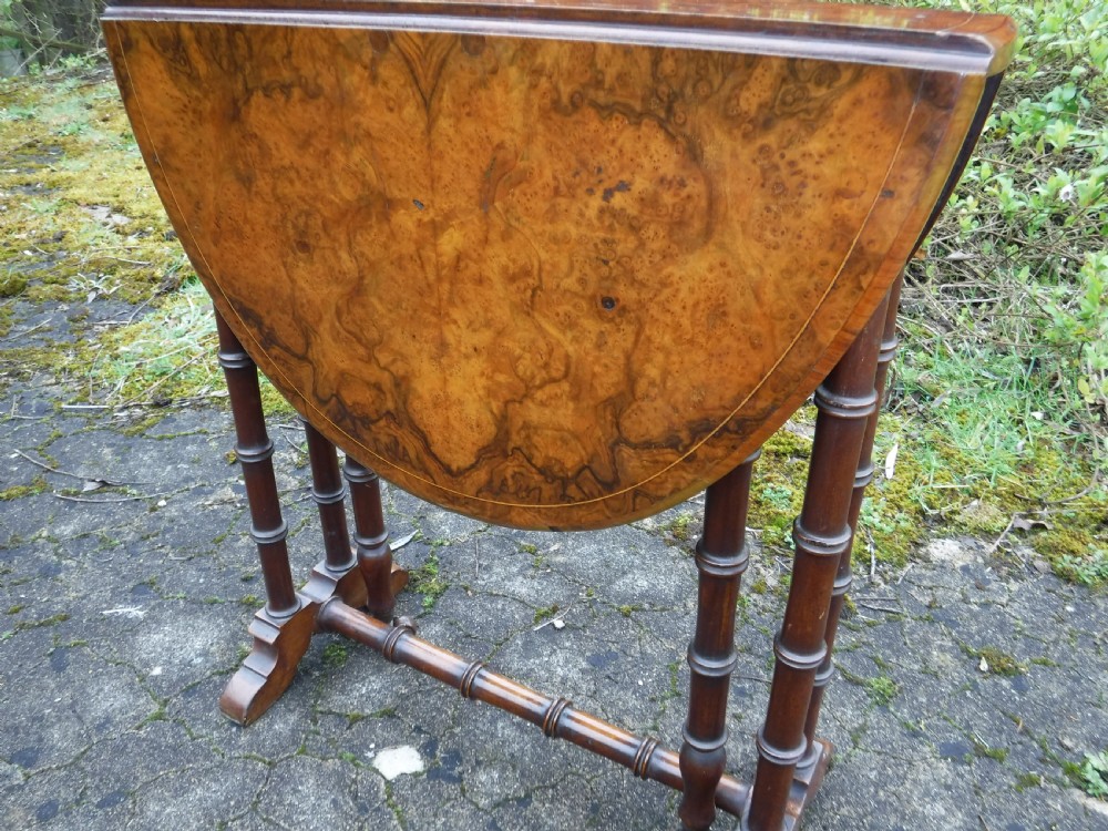 Walnut 