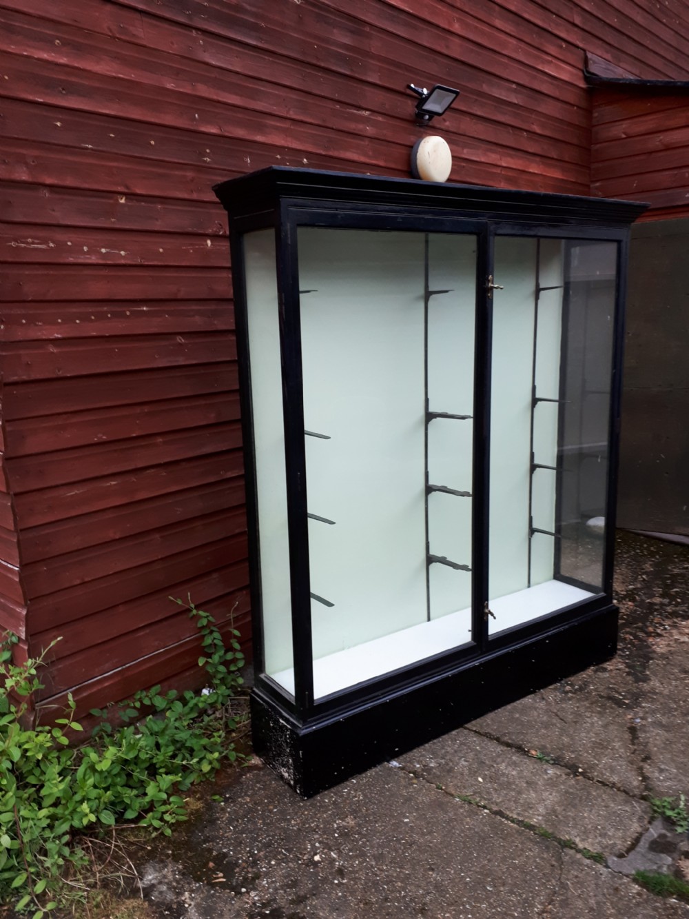 Large ebonised shop cabinet with adjustable shelves