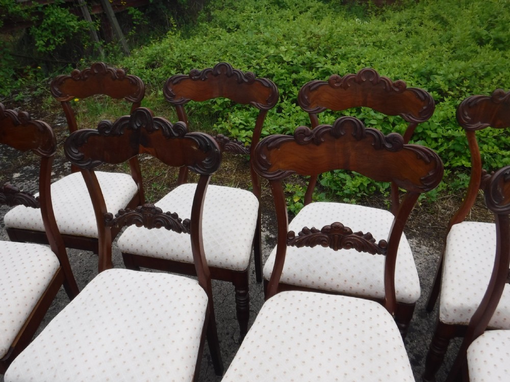12 late 19th century mahogany dining chairs View II