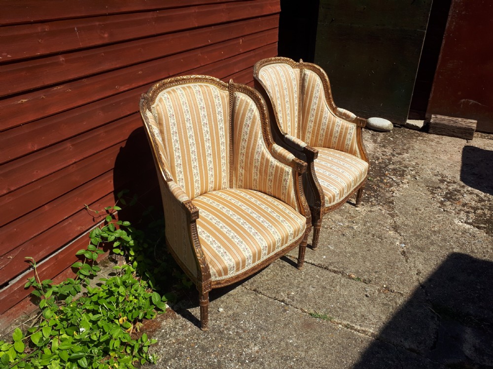 Pair of gilt carved framed armchairs