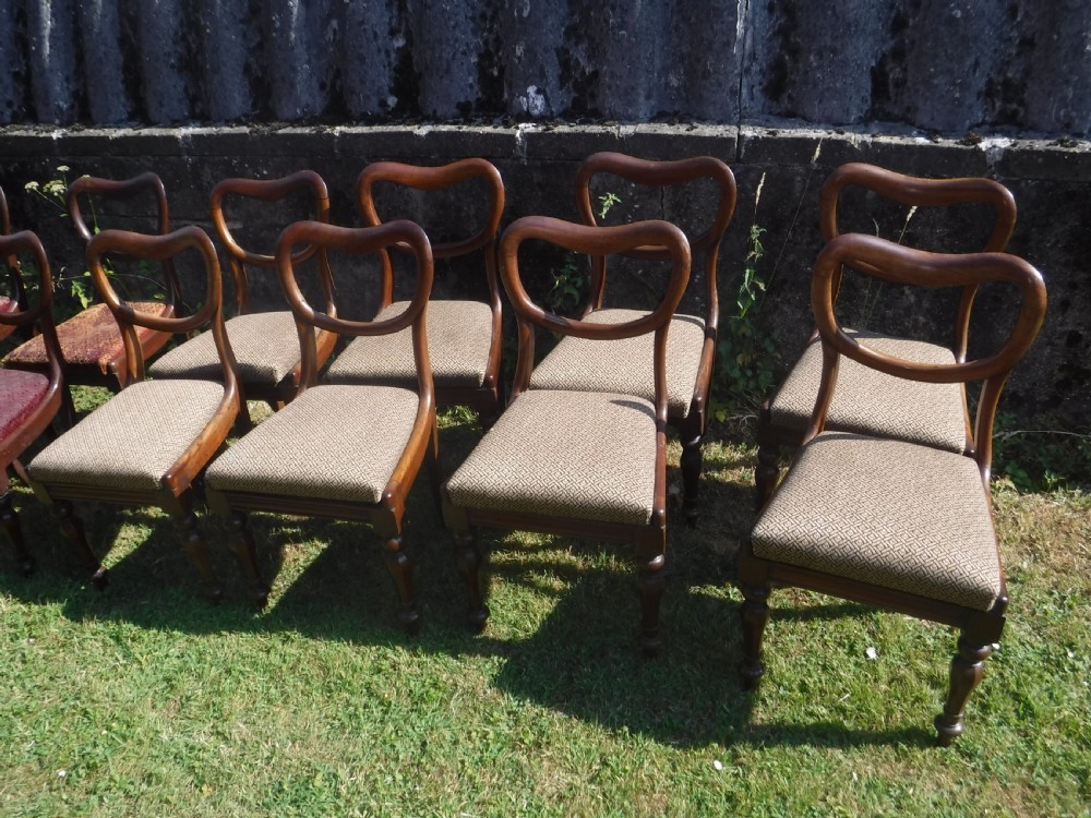 Set of 12 early Victorian mahogany dining chairs View III