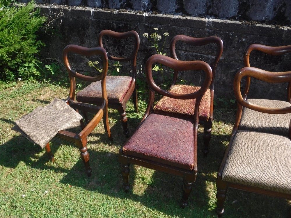 Set of 12 early Victorian mahogany dining chairs View IV