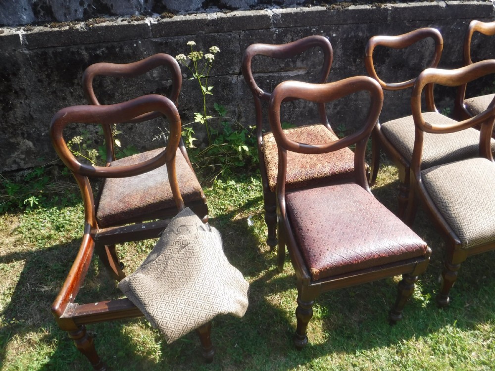 Set of 12 early Victorian mahogany dining chairs View V