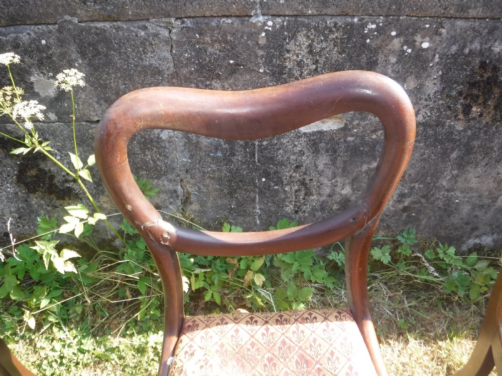 Set of 12 early Victorian mahogany dining chairs View VI