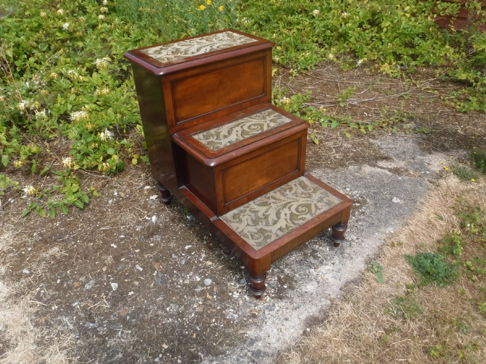 Set of 19th century mahogany  library steps View III