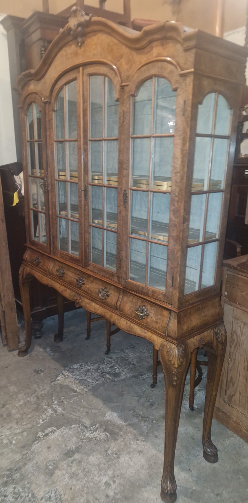 Burr walnut glazed display cabinet on stand.