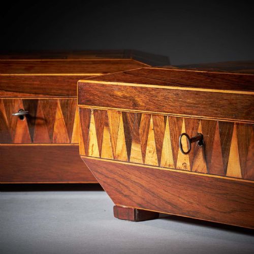 PAIR OF GEORGE IV REGENCY SPECIMEN WOOD PARQUETRY BOXES OF SARCOPHAGUS SHAPE - ADDITIONAL PHOTO 2