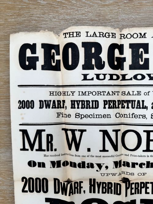 1885 VICTORIAN PRINTED AUCTION POSTER FLOWERS LUDLOW SHROPSHIRE 2 - ADDITIONAL PHOTO 1