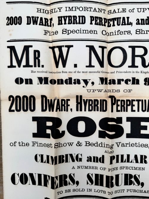1885 VICTORIAN PRINTED AUCTION POSTER FLOWERS LUDLOW SHROPSHIRE 2 - ADDITIONAL PHOTO 3
