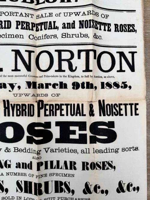 1885 VICTORIAN PRINTED AUCTION POSTER FLOWERS LUDLOW SHROPSHIRE 2 - ADDITIONAL PHOTO 4
