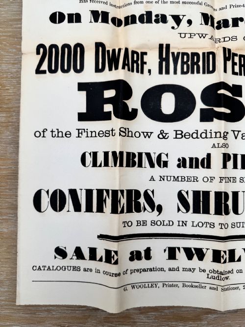 1885 VICTORIAN PRINTED AUCTION POSTER FLOWERS LUDLOW SHROPSHIRE 2 - ADDITIONAL PHOTO 5