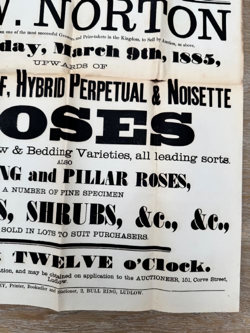 1885 VICTORIAN PRINTED AUCTION POSTER FLOWERS LUDLOW SHROPSHIRE 2 - ADDITIONAL PHOTO 6
