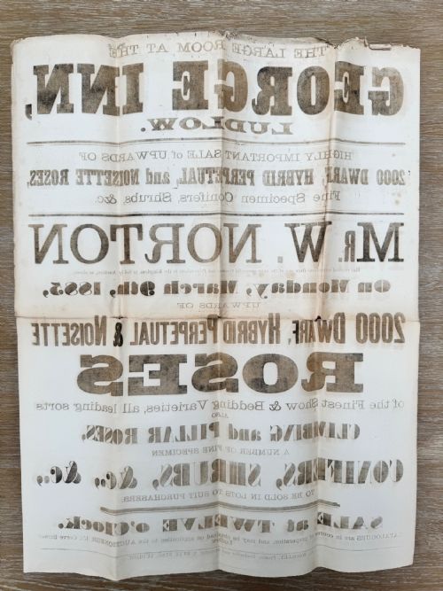 1885 VICTORIAN PRINTED AUCTION POSTER FLOWERS LUDLOW SHROPSHIRE 2 - ADDITIONAL PHOTO 7