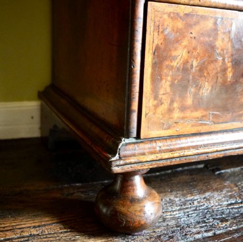 QUEEN ANNE BURR WALNUT LINEN PRESS CUPBOARD - ADDITIONAL PHOTO 4