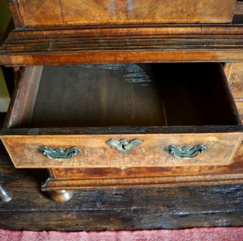 QUEEN ANNE BURR WALNUT LINEN PRESS CUPBOARD - ADDITIONAL PHOTO 11