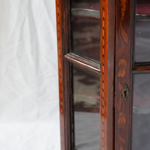 LATE 18TH EARLY 19TH CENTURY DUTCH FLORAL MARQUETRY GLAZED DISPLAY CABINET - ADDITIONAL PHOTO 3