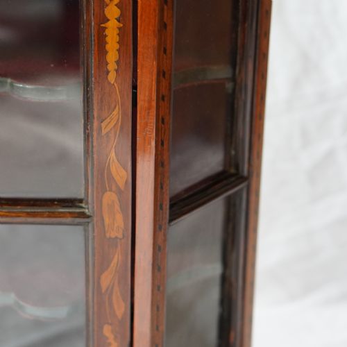 LATE 18TH EARLY 19TH CENTURY DUTCH FLORAL MARQUETRY GLAZED DISPLAY CABINET - ADDITIONAL PHOTO 6