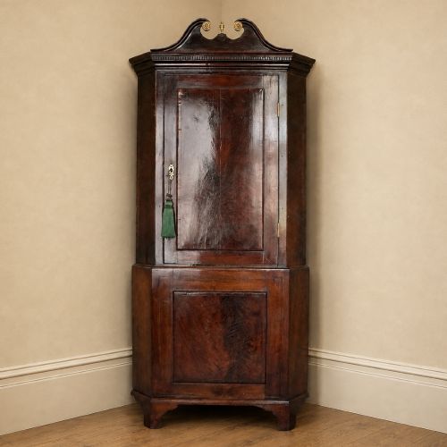 George III Mahogany Standing Corner Cupboard