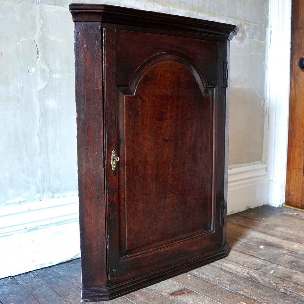 A dark oak George III wall-hanging corner cupboard featuring an arched fielded panel door, moulded cornice, and brass escutcheon. View IV