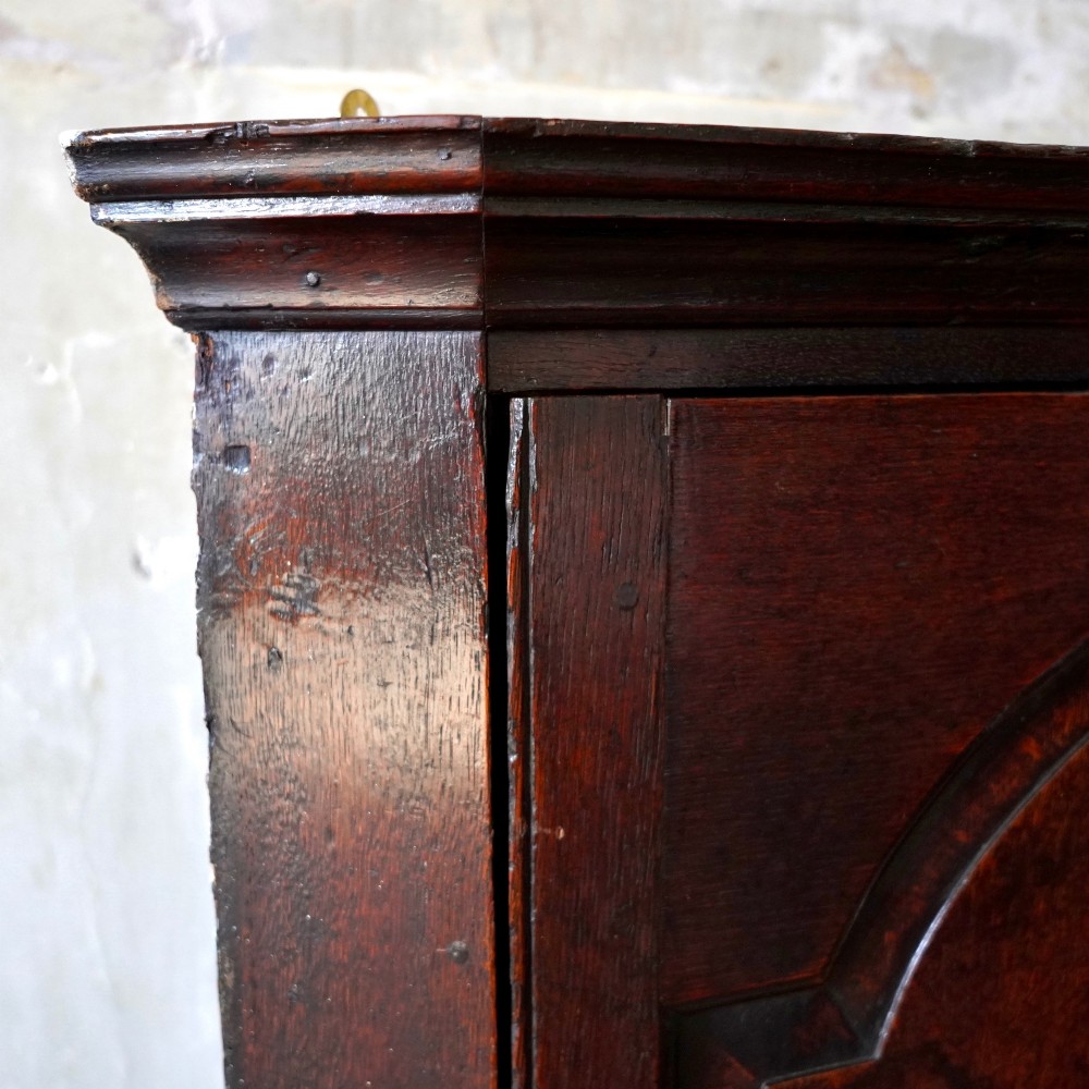 A dark oak George III wall-hanging corner cupboard featuring an arched fielded panel door, moulded cornice, and brass escutcheon. View VI